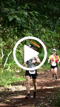 BIB:  <button type="button" onclick="openModal(27285478)" class="btn btn-primary btn-sm float-right" data-toggle="modal" data-target=".modal-high-quality">
                <i class="fa fa-download"></i> Download
                </button>